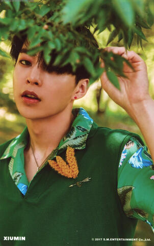 Xiumin
